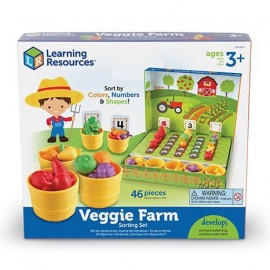 Набор для сортировки "Выращиваем овощи", с карточками