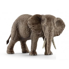Африканский слон, самка