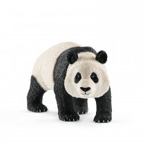 Гигантская панда, самец
