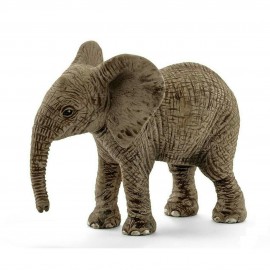 Детеныш Африканского слона