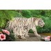 Тигр белый