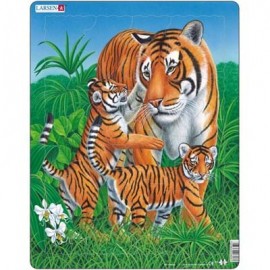 D6 - Тигр